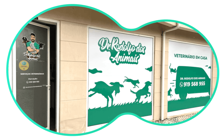 clinica veterinario dr rodolfo dos animais