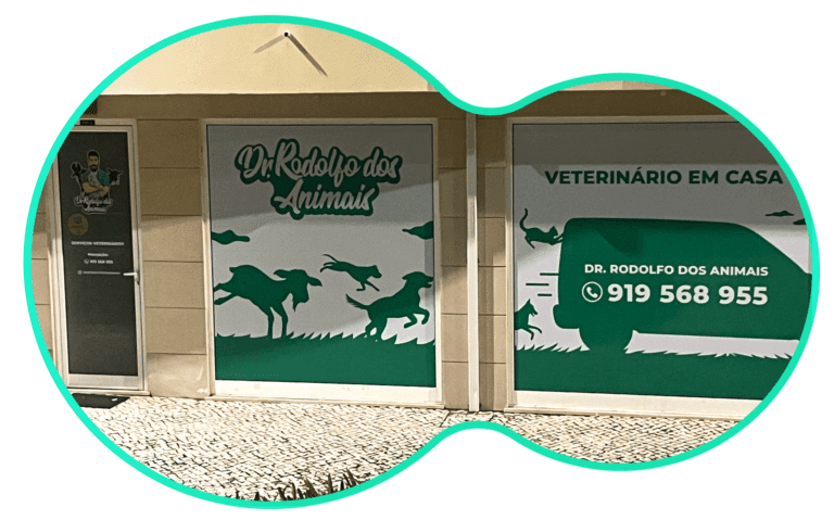 centro veterinario coimbra