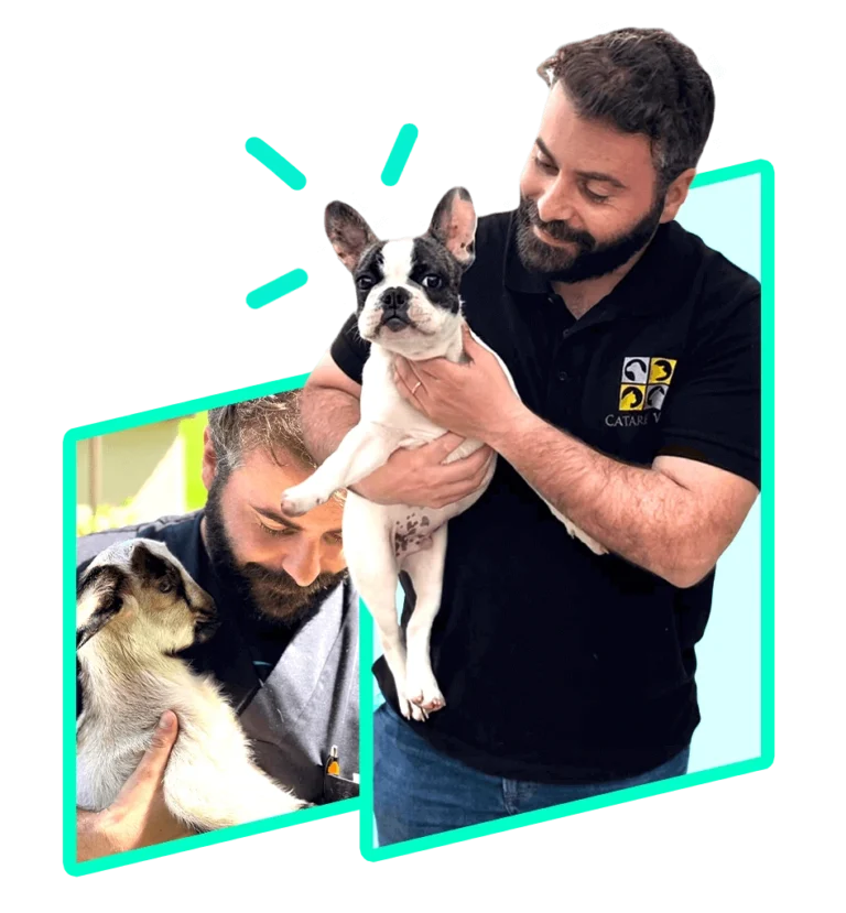 veterinario-ao-domicilio-em-coimbra