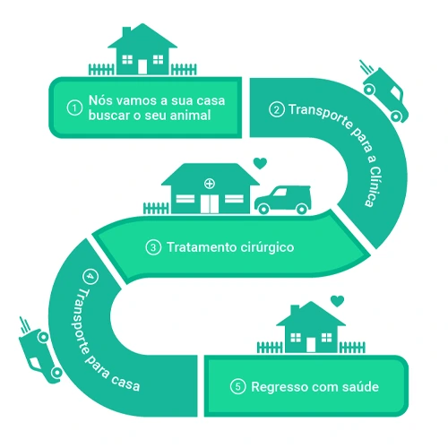 cirurgia animal ao domicilio coimbra